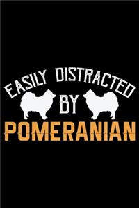 Easily Distracted by Pomeranian