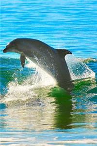Dolphin Notebook