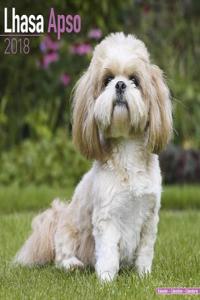Lhasa Apso Calendar 2018 (Square)