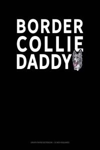 Border Collie Daddy