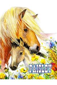 Paisley