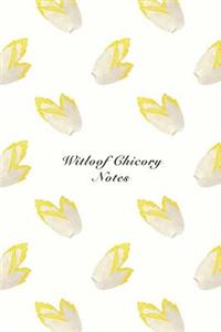Witloof Chicory Notes