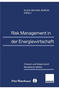 Risk Management in Der Energiewirtschaft