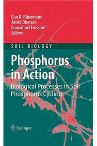 Phosphorus in Action