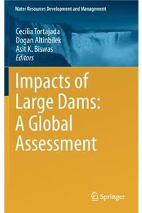 Impacts of Large Dams: A Global Assessment