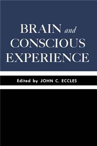 Brain and Conscious Experience