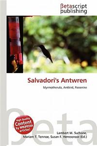 Salvadori's Antwren