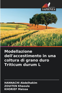 Modellazione dell'accestimento in una coltura di grano duro Triticum durum L