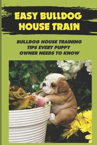 Easy Bulldog House Train