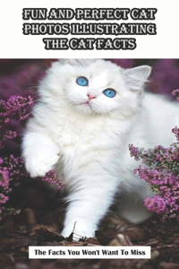 Fun And Perfect Cat Photos Illustrating The Cat Facts_ The Facts You Won_t Want To Miss