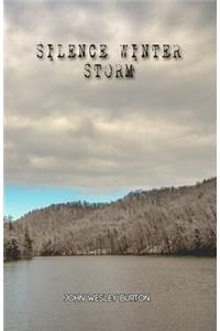 Silence Winter Storm