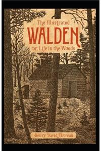 Walden Illustrated