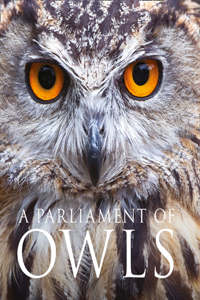 Parliament of Owls