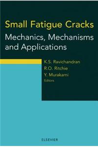 Small Fatigue Cracks