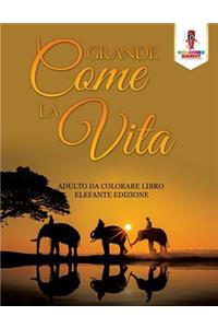 Grande Come La Vita