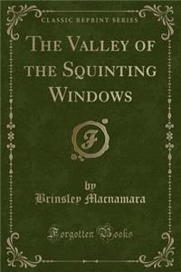 The Valley of the Squinting Windows (Classic Reprint)