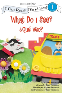 What Do I See? / Que veo?