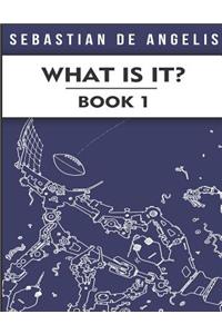 What Is It Book 1