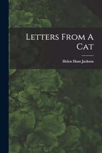 Letters From A Cat
