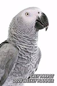 Grey Parrot 2020 Weekly Planner