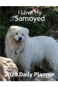 I Love My Samoyed