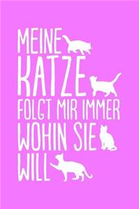 Katze Folgt Wohin Sie Will