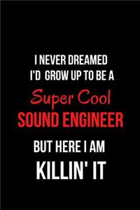 I Never Dreamed I'd Grow Up to Be a Super Cool Sound Engineer But Here I Am Killin' It