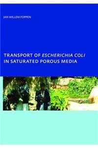 Transport of Escherichia Coli in Saturated Porous Media