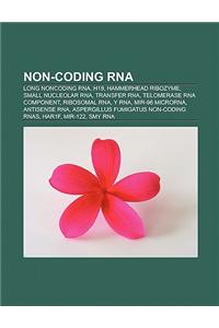 Non-Coding RNA