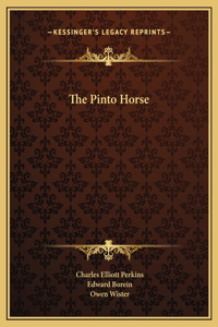 The Pinto Horse