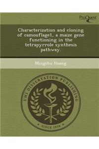 Characterization and Cloning of Camouflage1