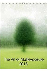 Art of Multiexposure 2018 2018