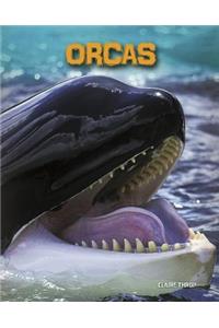 Orcas