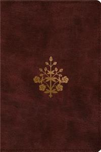 ESV Study Bible, Personal Size