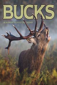 2022 Bucks Wall