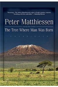 Tree Where Man Was Born