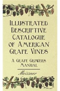 Illustrated Descriptive Catalogue Of American Grape Vines - A Grape Growers Manual
