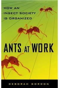 Ants at Work