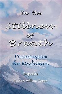 In the Stillness of Breath