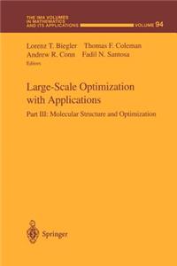 Large-Scale Optimization with Applications