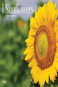 Sunflowers 2018 Calendar