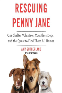 Rescuing Penny Jane Lib/E