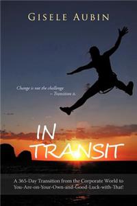 In Transit: A 365-Day Transition from the Corporate World to You-Are-On-Your-Own-And-Good-Luck-With-That!