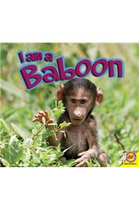 I Am a Baboon