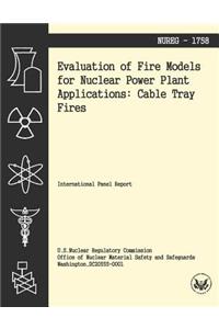 Evaluation of Fire Models for Nuclear Power Plant Applications