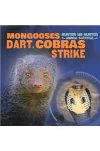 Mongooses Dart, Cobras Strike