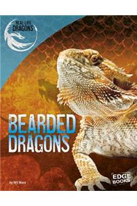 Bearded Dragons