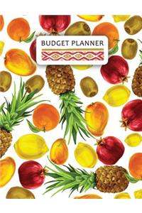 Budget Planner: Colorful Tropical Fruit Design: Extra Large Budget Planner for Aging (24 Months Expense Tracking)