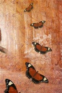 Owls and Butterflies Journal