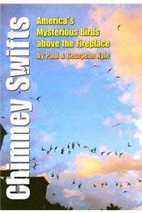 Chimney Swifts